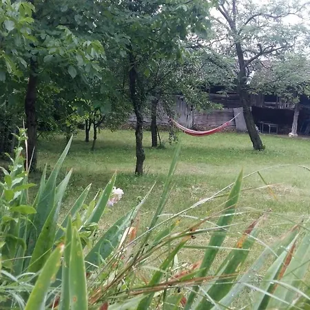 Kushta Marta Velchevo (Veliko Tarnovo)
